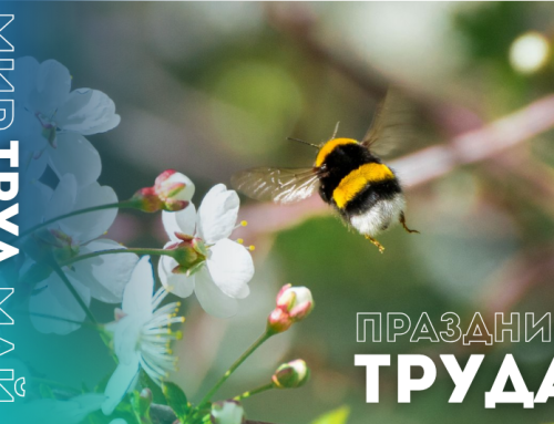 Уважаемые коллеги!